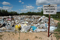 Восемь несанкционированных свалок за полгода зафиксировала Бобруйская инспекция охраны окружающей среды