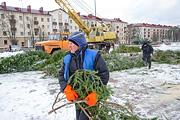 Лесная делегация