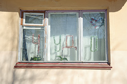 А может, это чудо?