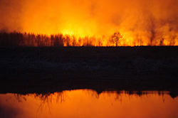 Пожар за Березиной, в районе Форштадта, в воскресенье, 30 марта. 