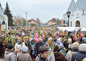 Вербное воскресенье в Бобруйске