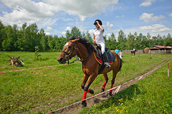 Хортица – это под Бобруйском?