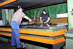 Ветер перемен на нашей коже