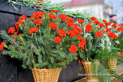 Годовщина Октябрьской революции в Бобруйске