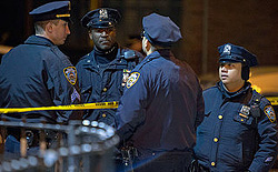 В США убили троих полицейских в воскресенье