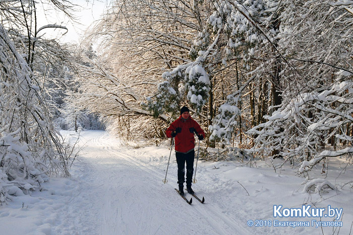 Бобруйские лыжники: на первый раз – 6:6