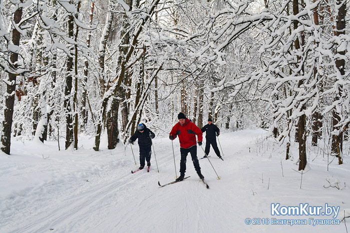 Бобруйские лыжники: на первый раз – 6:6