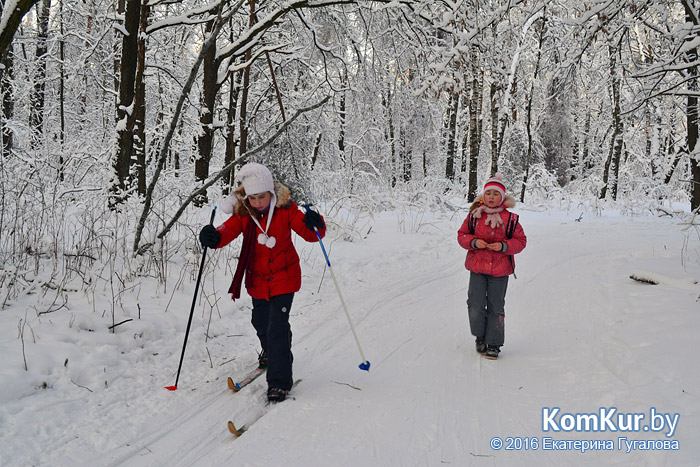 Бобруйские лыжники: на первый раз – 6:6