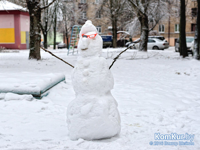 В Бобруйске задержали «убийцу» снеговика