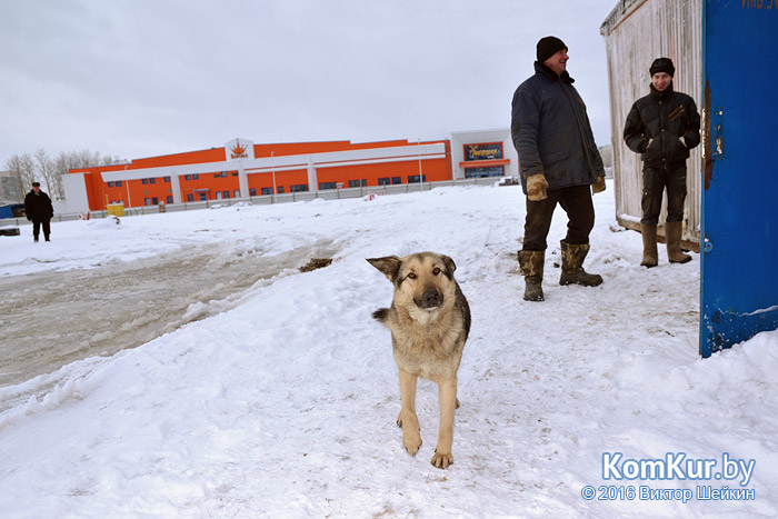 Бобруйск в ожидании