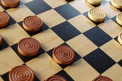 «Призовые ходы» бобруйских шашисток