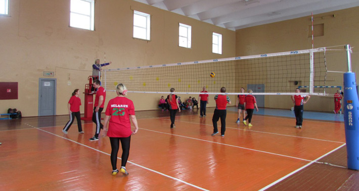 Бобруйские педагоги сыграли в волейбол