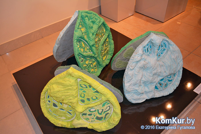 «Разговоры в зеленых»: выставка скульптур из текстиля открылась в Бобруйске