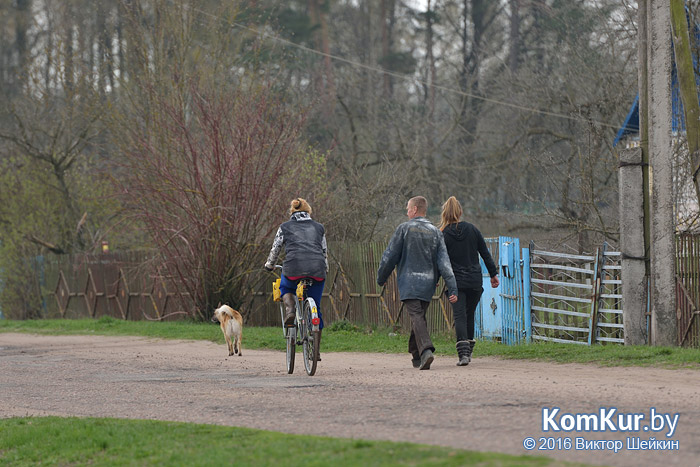 Чернобыль. 30 лет спустя