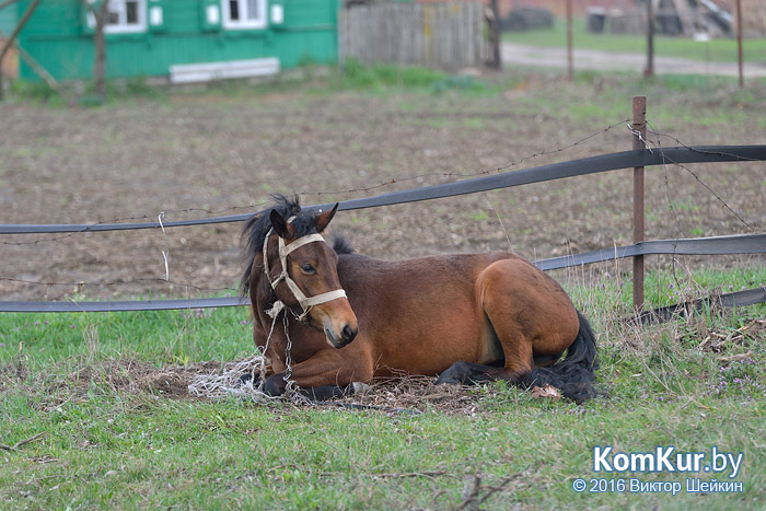 Чернобыль. 30 лет спустя
