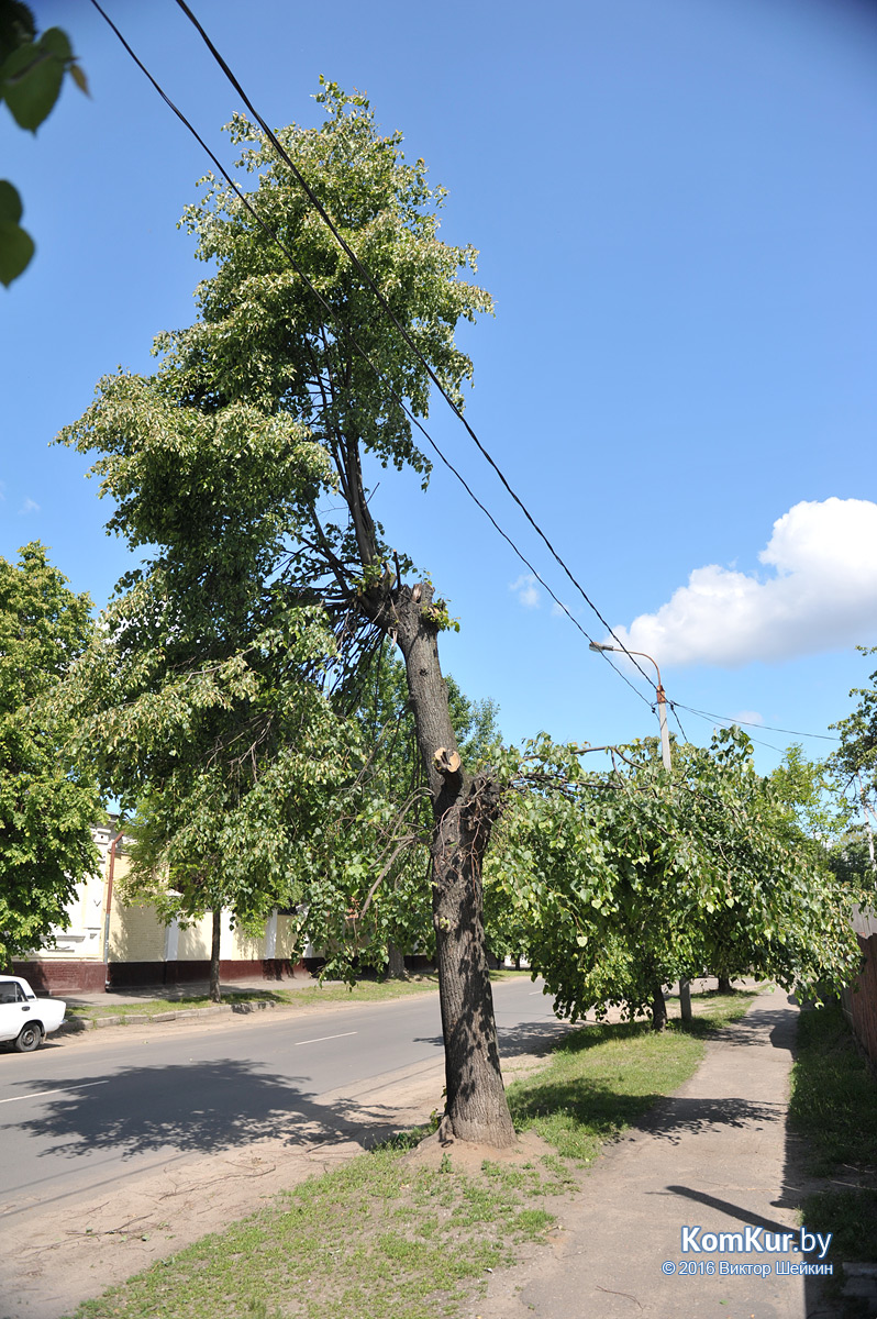 Стрижка бензопилой в Бобруйске