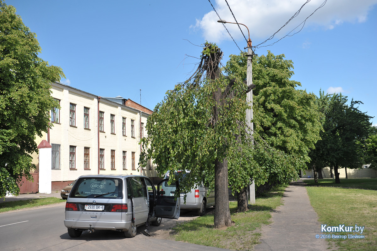 Стрижка бензопилой в Бобруйске