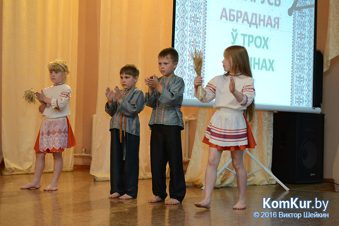 Участники бобруйского проекта «Вяртанне да вытокаў» представили свои достижения