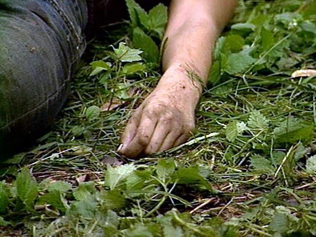 В Бобруйске обнаружен исколотый труп мужчины 