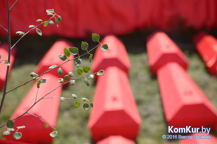 В Бобруйске перезахоронено 49 военнопленных