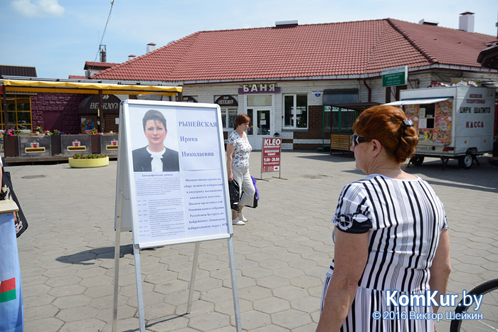 Сбор подписей в поддержку кандидатов в депутаты Палаты представителей стартовал в Бобруйске