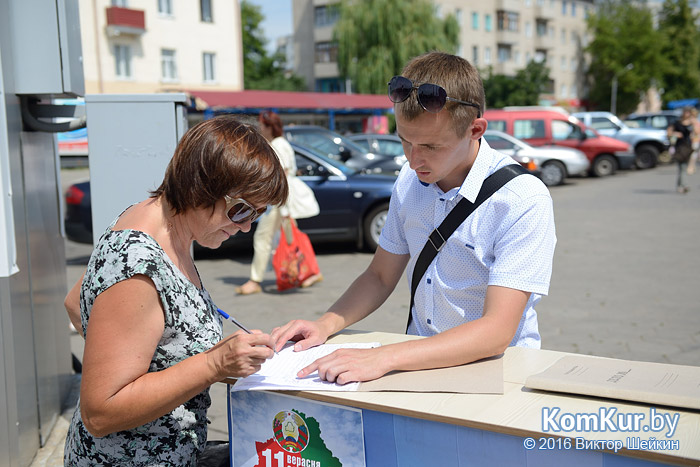 Сбор подписей в поддержку кандидатов в депутаты Палаты представителей стартовал в Бобруйске