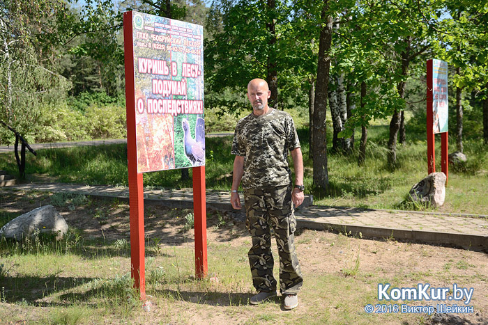 Кто бесчинствует в лесах Бобруйщины  