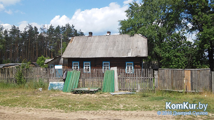 Затерянные в бобруйских лесах, или Хуторяне 21-го века