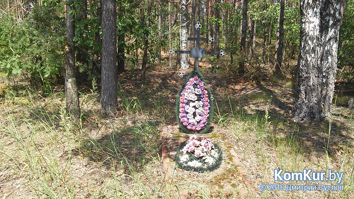 Затерянные в бобруйских лесах, или Хуторяне 21-го века