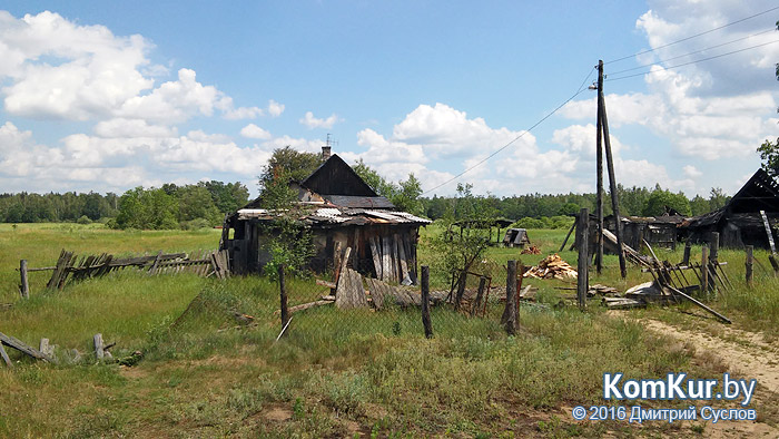 Затерянные в бобруйских лесах, или Хуторяне 21-го века