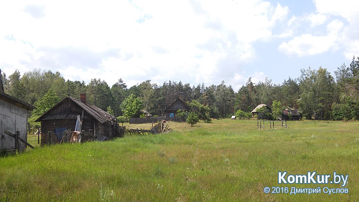 Затерянные в бобруйских лесах, или Хуторяне 21-го века