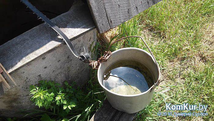 Затерянные в бобруйских лесах, или Хуторяне 21-го века