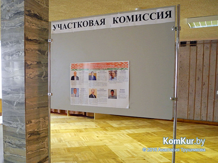 Выборы в Бобруйске состоялись (Фоторепортаж)