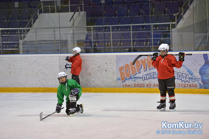 «Бобруйск-Арена»: год без большого хоккея