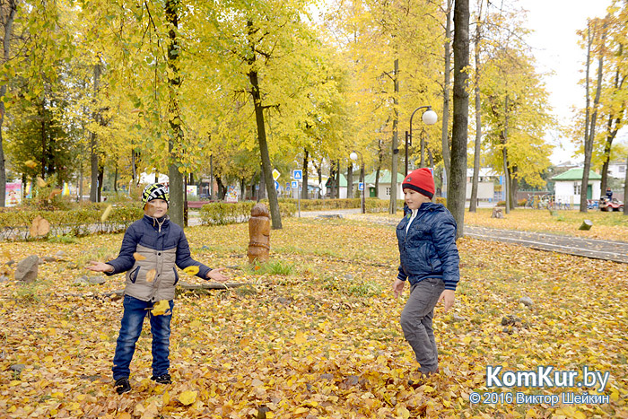 Подарочные дворики Бобруйска