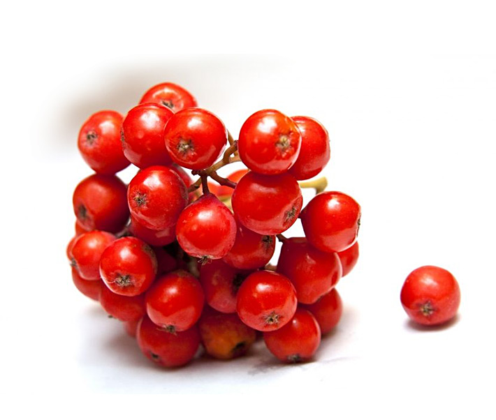 «Коммерческий» на связи: Рябины у могилки