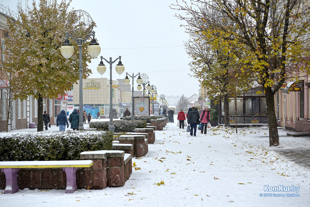 Бобруйск под снегом