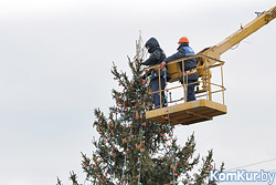 В Бобруйске установлена новогодняя елка!