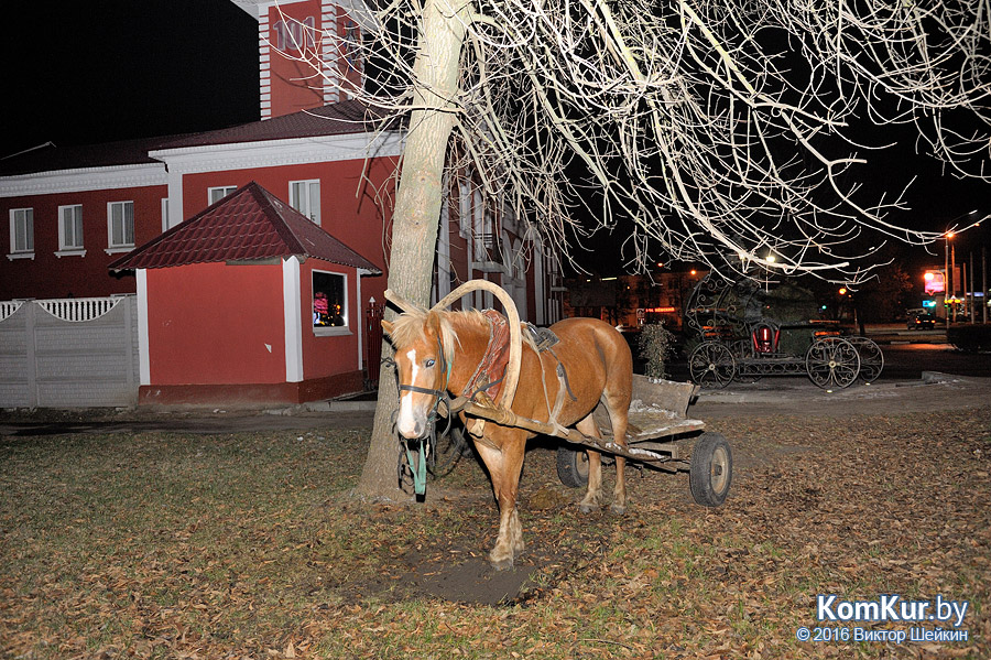 Как бобруйчане лошадь спасали