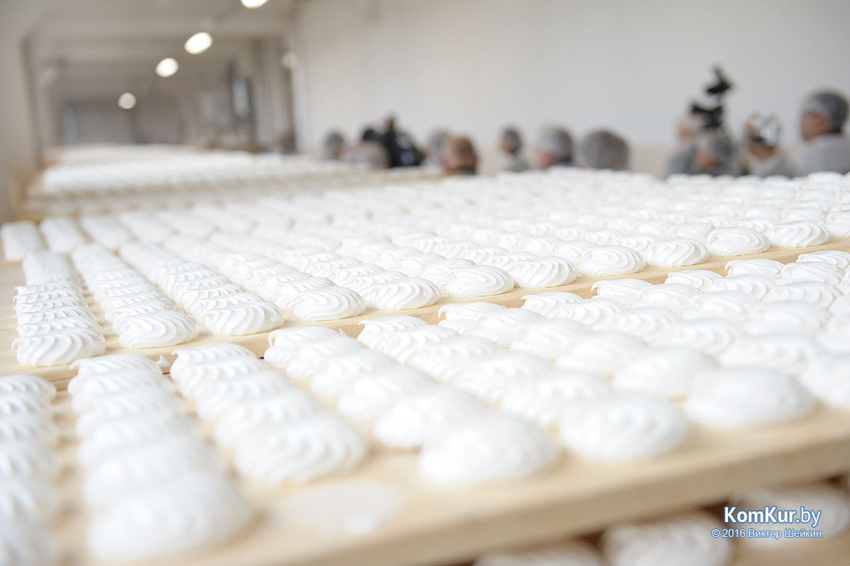 Бобруйск посетили российские журналисты