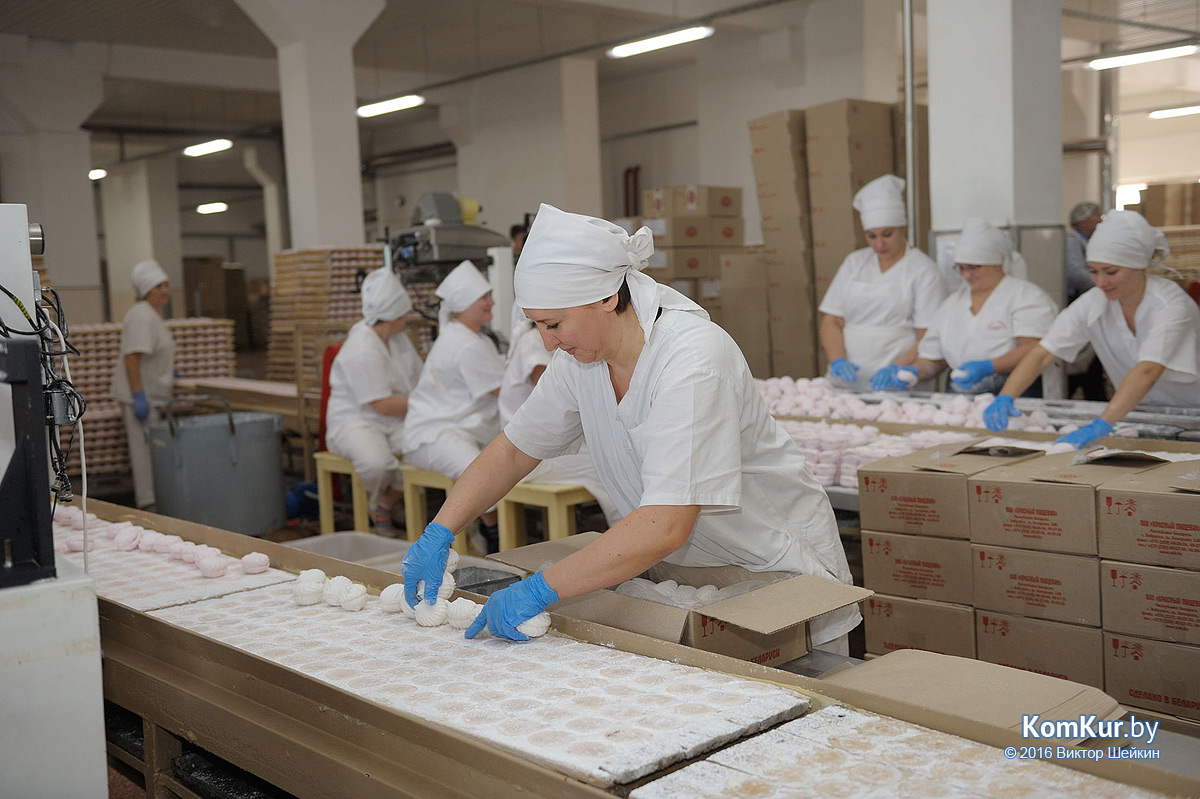 Бобруйск посетили российские журналисты