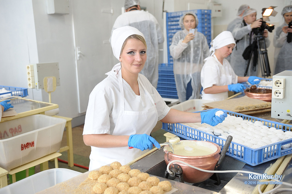 Бобруйск посетили российские журналисты