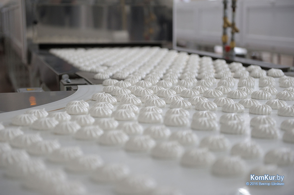 Бобруйск посетили российские журналисты