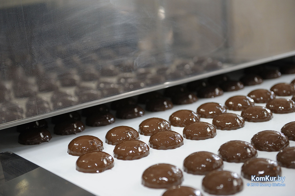 Бобруйск посетили российские журналисты