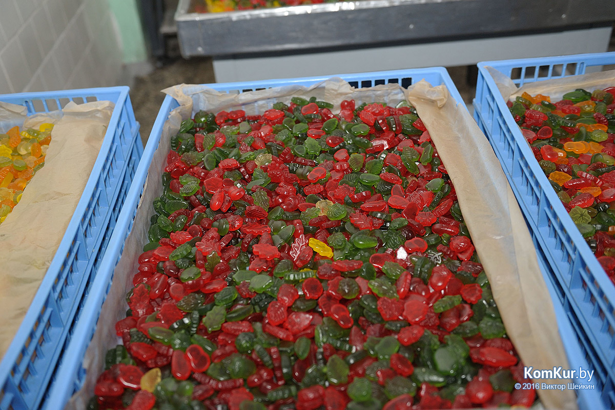 Бобруйск посетили российские журналисты