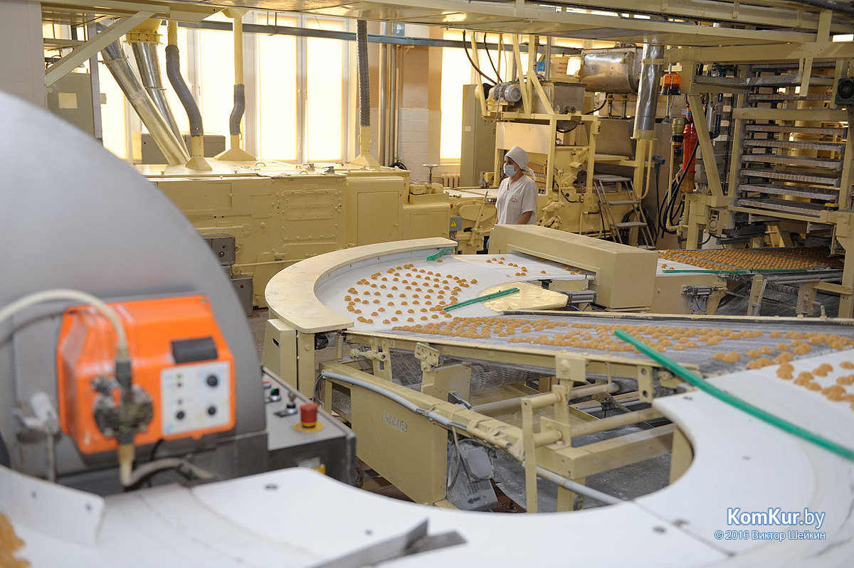 Бобруйск посетили российские журналисты