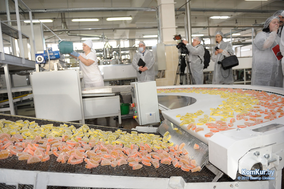 Бобруйск посетили российские журналисты