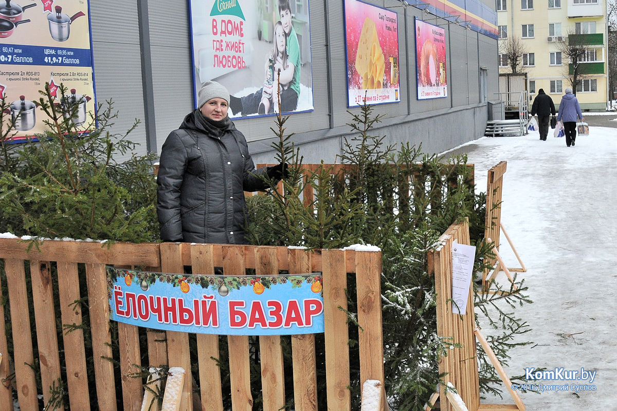 Зеленая торговля на улицах Бобруйска 
