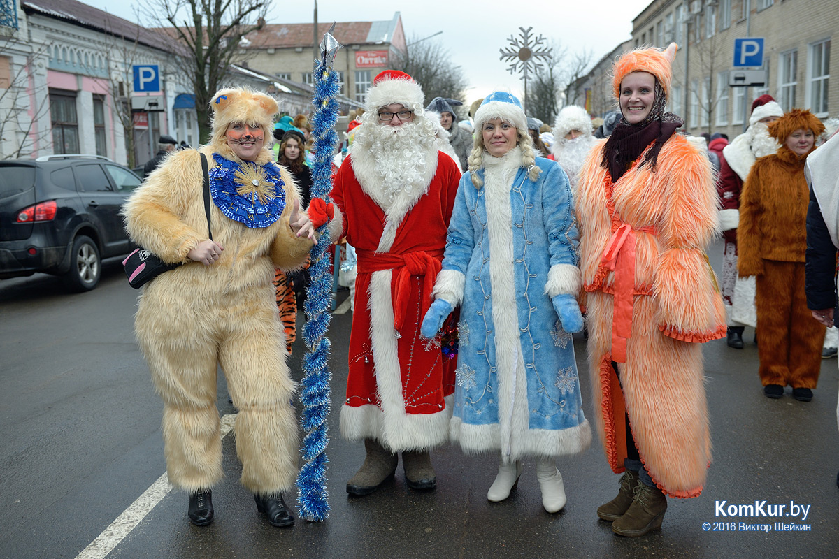 В Бобруйске прошло праздничное шествие Дедов Морозов