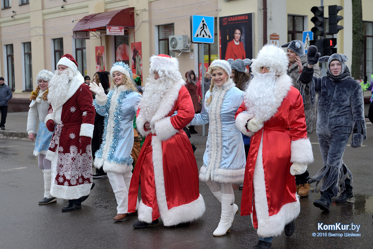 В Бобруйске прошло праздничное шествие Дедов Морозов